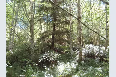 Salmon Creek Rd, Mossyrock, WA 98564 - Photo 17