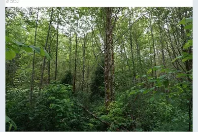 0 NE Buncombe Hollow Rd, Woodland, WA 98674 - Photo 5