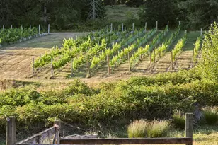 11700 NE 279th St, Battle Ground, WA 98604 - Photo 19