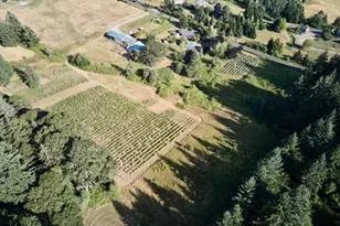 11700 NE 279th St, Battle Ground, WA 98604 - Photo 1