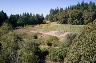 11700 NE 279th St, Battle Ground, WA 98604 - Photo 41