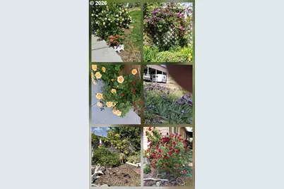 303 Pine Ave, Spray, OR 97874 - Photo 33