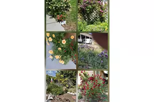 303 Pine Ave, Spray, OR 97874 - Photo 33