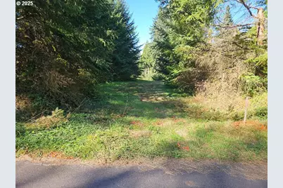 45400 NE Pup Creek Rd, Woodland, WA 98674 - Photo 45