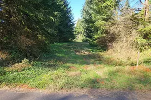 45400 NE Pup Creek Rd, Woodland, WA 98674 - Photo 45