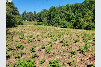 0 Adjacent Oak Grove Dr NW, Albany, OR 97321 - Photo 29