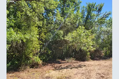 0 Adjacent Oak Grove Dr NW, Albany, OR 97321 - Photo 15