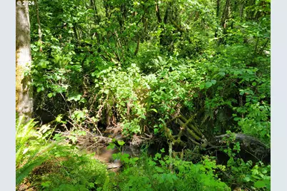 0 Adjacent Oak Grove Dr NW, Albany, OR 97321 - Photo 9