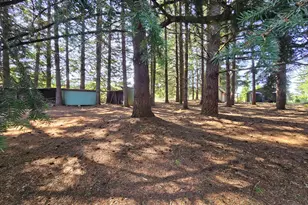 26200 SW Regia Dr, Sheridan, OR 97378 - Photo 37