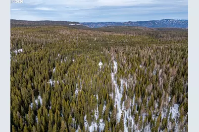 77667 Jack Pine Ln, Weston, OR 97886 - Photo 11