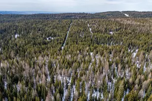 77667 Jack Pine Ln, Weston, OR 97886 - Photo 7