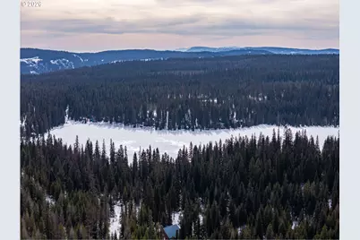 77667 Jack Pine Ln, Weston, OR 97886 - Photo 9