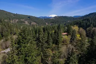 108 Longhorn Rd, Amboy, WA 98601 - Photo 37