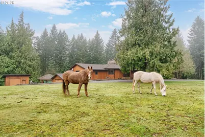 51720 NW Hayward Rd, Manning, OR 97125 - Photo 3