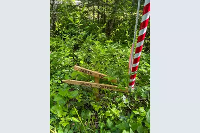 51720 NW Hayward Rd, Manning, OR 97125 - Photo 39
