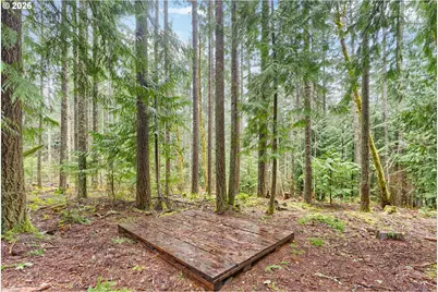 51720 NW Hayward Rd, Manning, OR 97125 - Photo 47