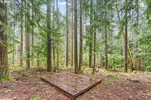 51720 NW Hayward Rd, Manning, OR 97125 - Photo 47