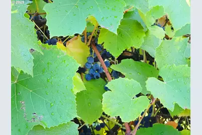 11910 NE Fremont St, Portland, OR 97220 - Photo 19