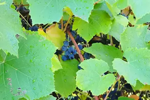 11910 NE Fremont St, Portland, OR 97220 - Photo 19