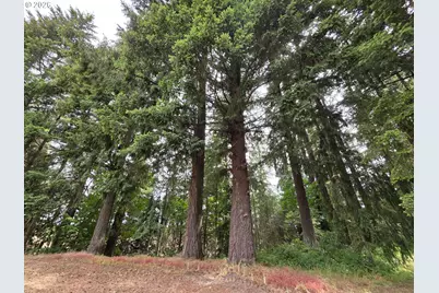 3678 SW Golf Course Rd, Cornelius, OR 97113 - Photo 11