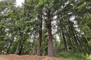 3678 SW Golf Course Rd, Cornelius, OR 97113 - Photo 11