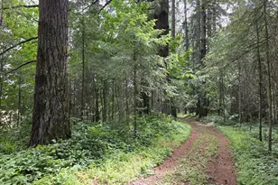 3678 SW Golf Course Rd, Cornelius, OR 97113 - Photo 13