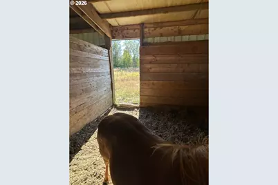 24100 SW Dejong Rd, Sheridan, OR 97378 - Photo 33