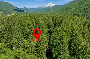 21323 E Pkwy Ave, Rhododendron, OR 97049 - Photo 45