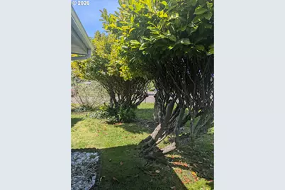 1116 7th St, Florence, OR 97439 - Photo 15