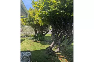 1116 7th St, Florence, OR 97439 - Photo 15