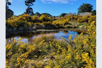 18th St SW, Bandon, OR 97411 - Photo 3