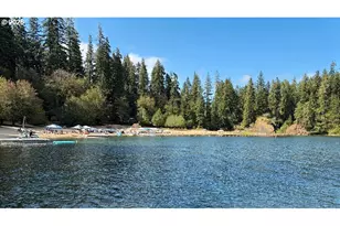 2355 Loon Lake Rd, Reedsport, OR 97467 - Photo 37