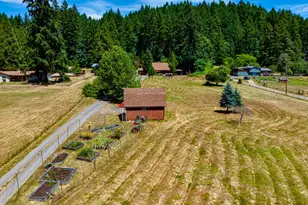 38481 Cartwright Creek Rd, Marcola, OR 97454 - Photo 31