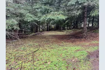 82964 Hungry Hill Rd, Creswell, OR 97426 - Photo 9