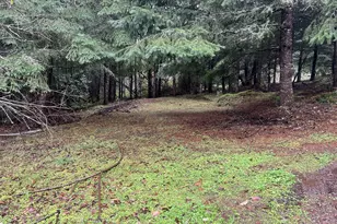 82964 Hungry Hill Rd, Creswell, OR 97426 - Photo 9