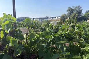 17785 SW Maiden Ct, Beaverton, OR 97007 - Photo 17