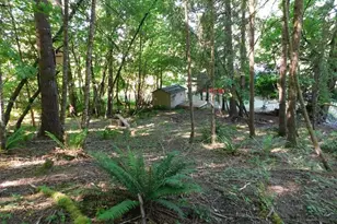 255 D St, Vernonia, OR 97064 - Photo 39