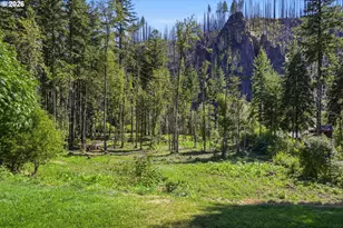 49380 McKenzie Hwy, Vida, OR 97488 - Photo 43