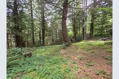42101 Old Mill Rd, Port Orford, OR 97465 - Photo 29