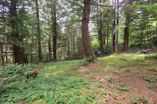 42101 Old Mill Rd, Port Orford, OR 97465 - Photo 29