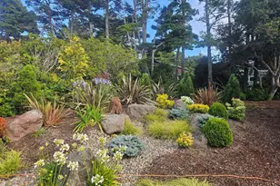 87932 Limpit Ln, Florence, OR 97439 - Photo 27