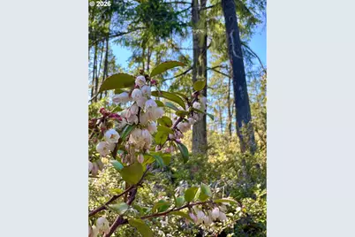000 Robinhood Ave, Lakeside, OR 97449 - Photo 13