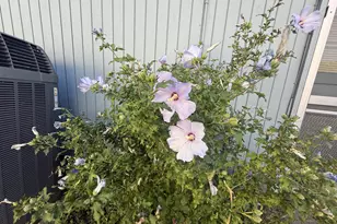 2462 Senate Way, Medford, OR 97504 - Photo 35