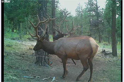 Low Gap Lane, Long Creek, OR 97856 - Photo 25