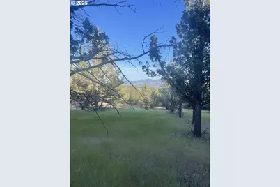 0 Wiley Creek Rd, Dayville, OR 97825 - Photo 3