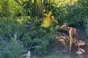 265 Auburn Ave, Astoria, OR 97103 - Photo 41