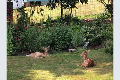 265 Auburn Ave, Astoria, OR 97103 - Photo 39