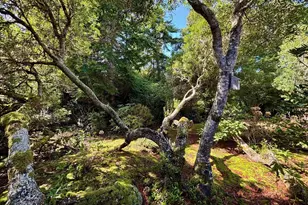 5009 Kelsie Ct, Florence, OR 97439 - Photo 15