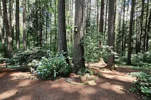 9332 SW 171st Ave, Beaverton, OR 97007 - Photo 45