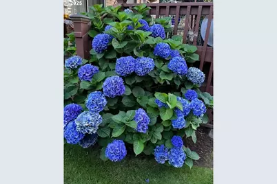 20515 SW 104th Ave, Tualatin, OR 97062 - Photo 41